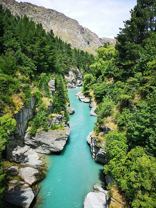 New Zealand landscape