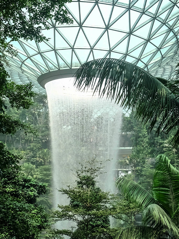 Singapore nature