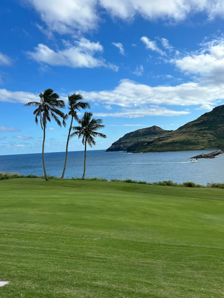 Hawaii-Landschaft mit Palmen und Meer