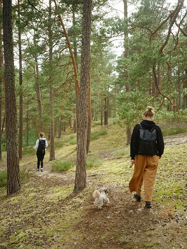 Zwei junge Frauen mit Rucksäcken, die mit einem kleinen Hund auf einem Waldweg in Lettland spazieren gehen, während sanftes Licht durch die Bäume fällt