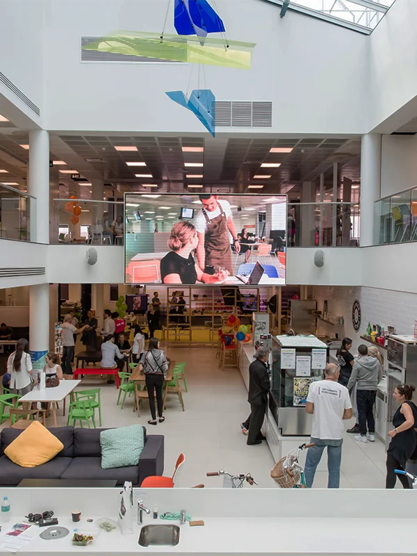 Belebtes offenes Atrium der Torrens University mit bunten Stühlen, großem LED Bildschirm und hängenden Kunstinstallationen während Studierende auf mehreren Ebenen zusammenkommen